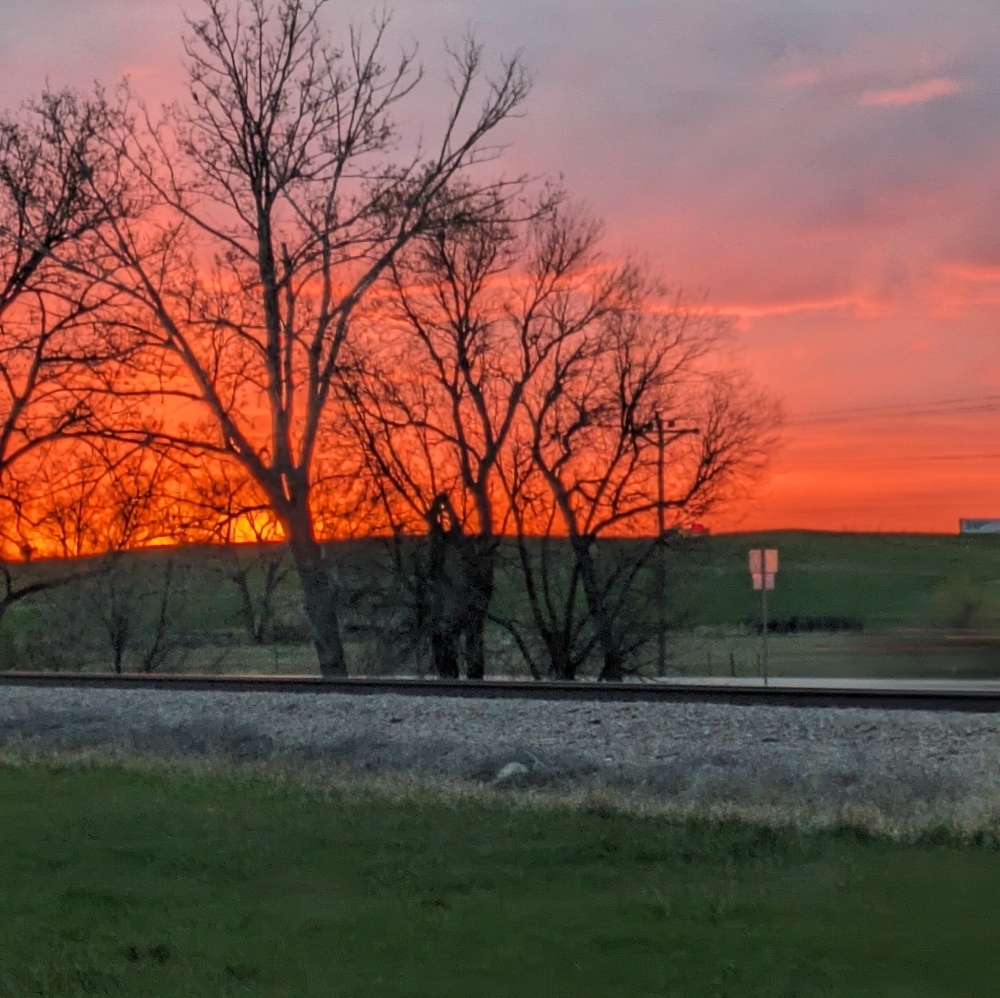 Meet your Posher, Callie